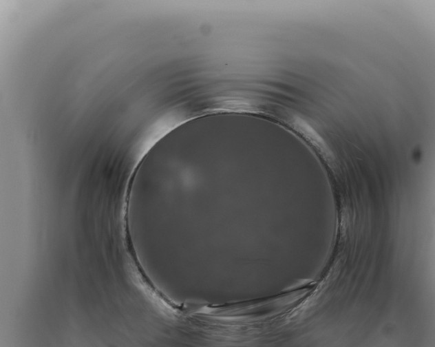 X0000090761378200707271457