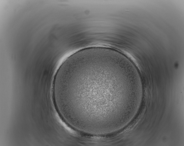 X0000090761379200707271457