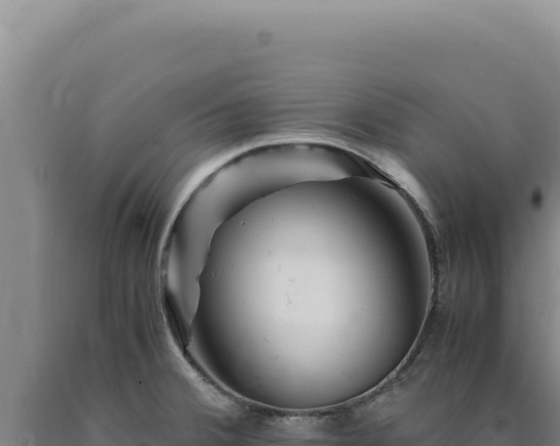 X0000090761380200707271457