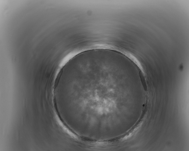 X0000090761381200707271457