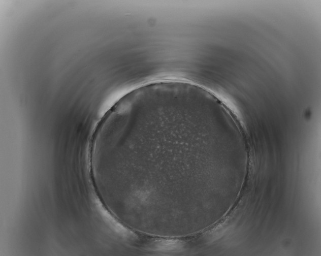 X0000090761382200707271457