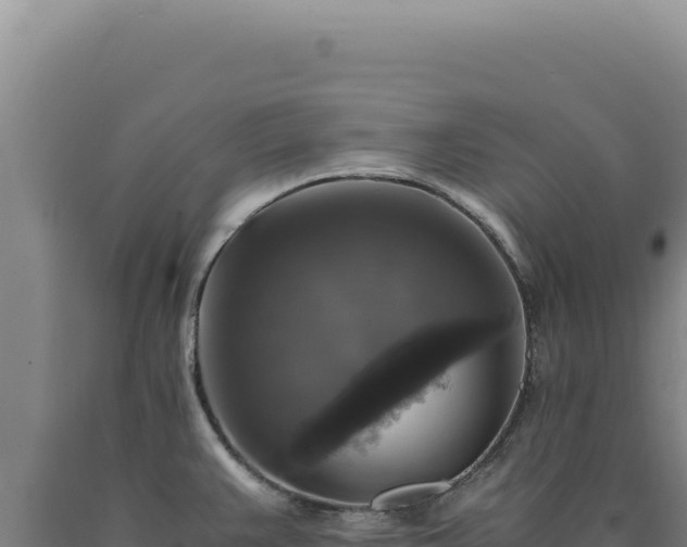 X0000090761383200707271457