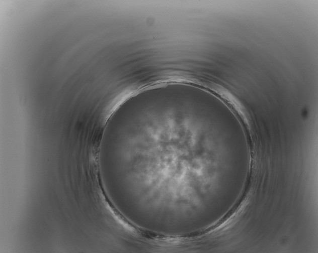 X0000090761385200707271457