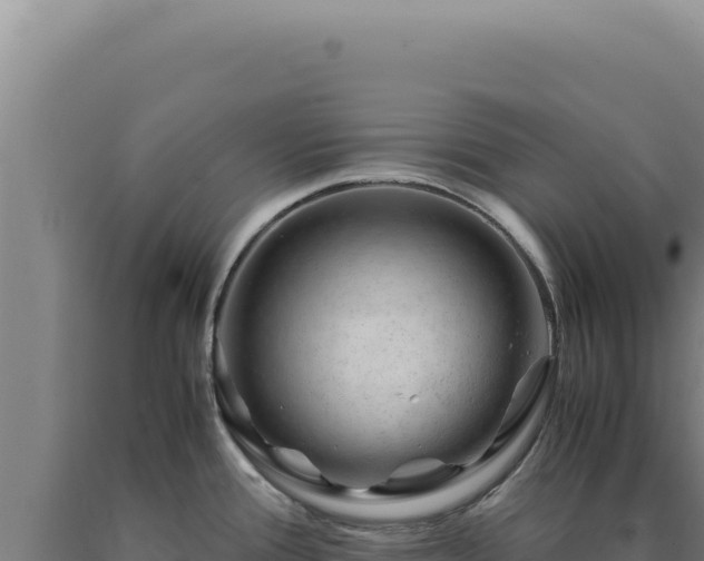 X0000090761388200707271457