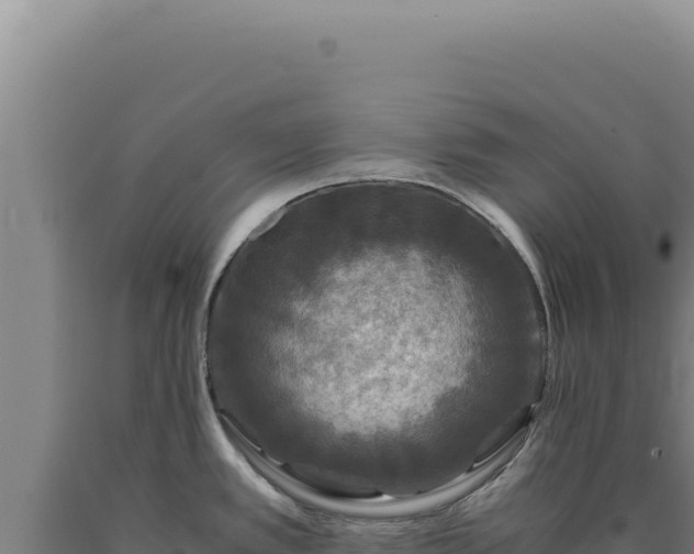 X0000090761389200707271457