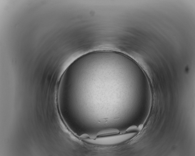 X0000090761390200707271457