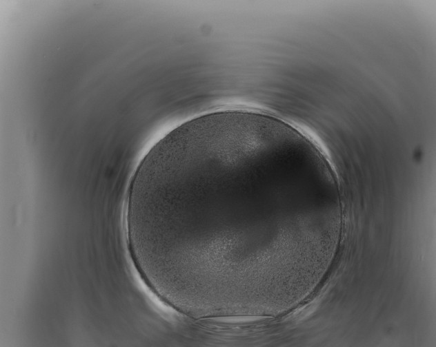 X0000090761391200707271457