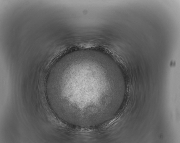 X0000090761393200707271456