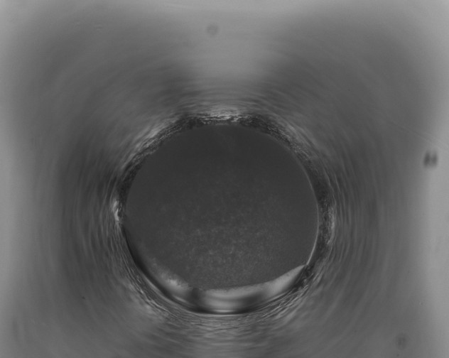 X0000090761394200707271456