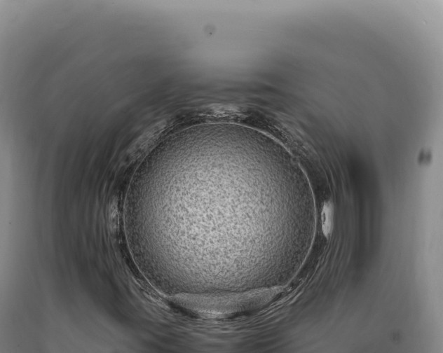 X0000090761395200707271456