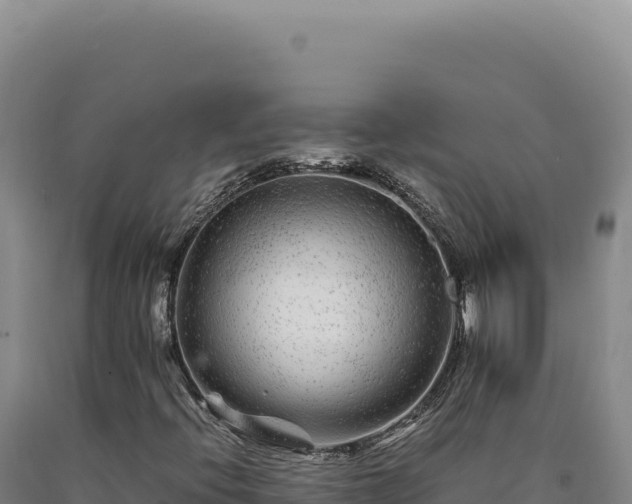 X0000090761396200707271456