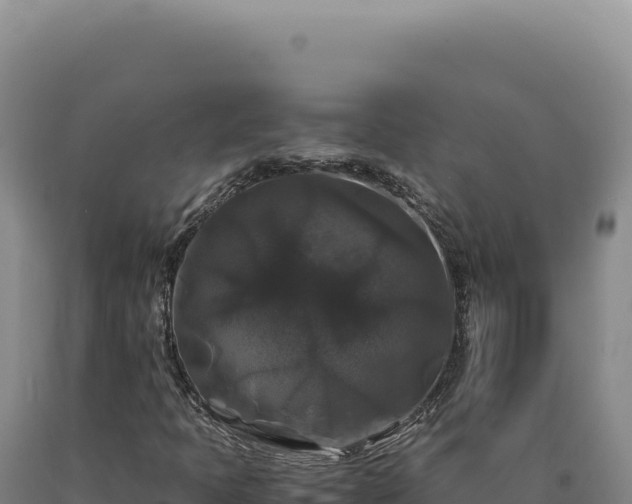 X0000090761397200707271456