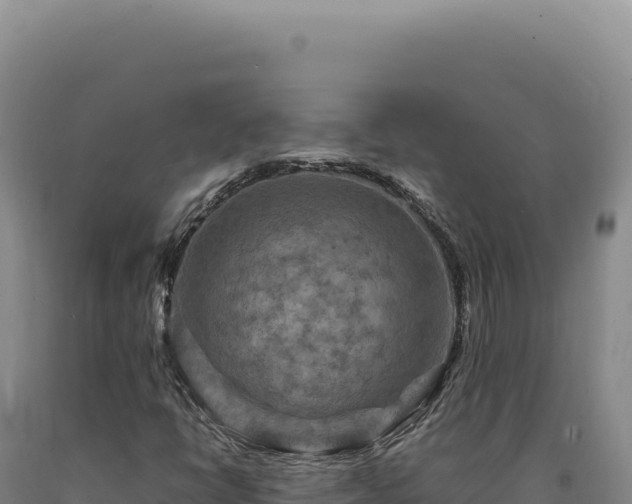 X0000090761398200707271456