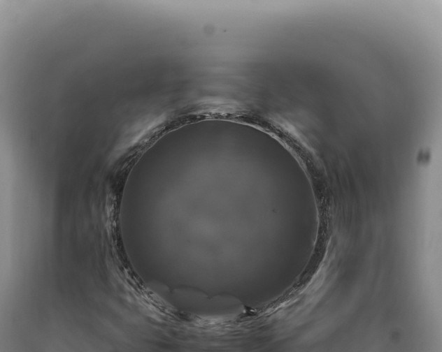 X0000090761399200707271456