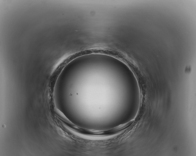 X0000090761400200707271456