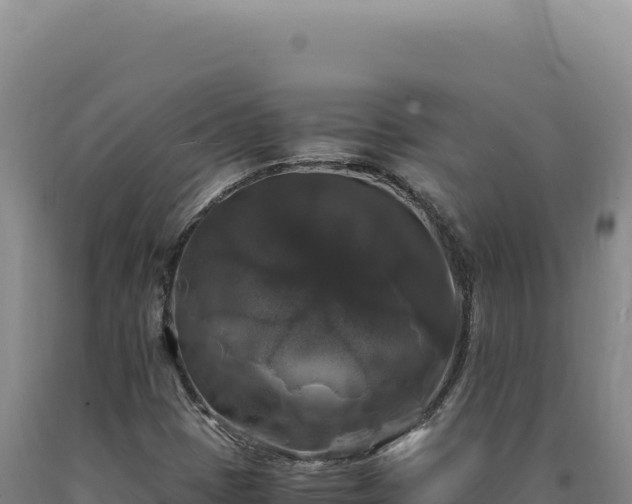 X0000090761401200707271456