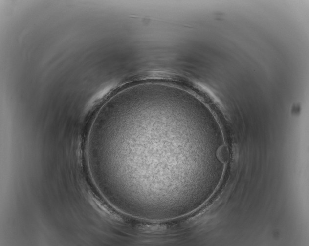 X0000090761403200707271456