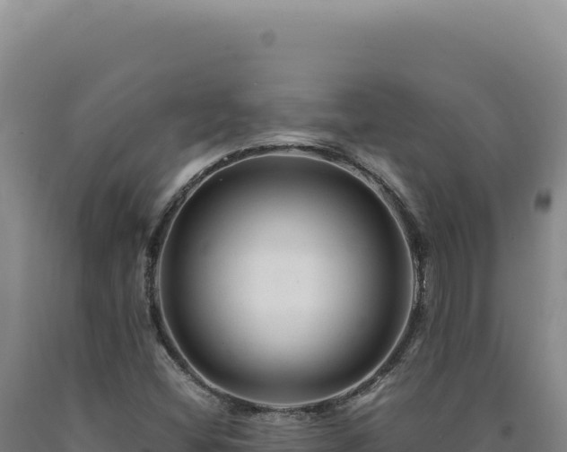 X0000090761404200707271456