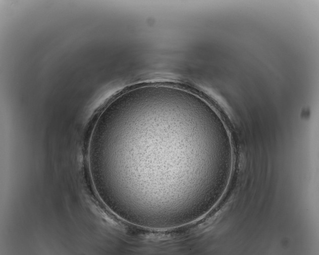 X0000090761407200707271456