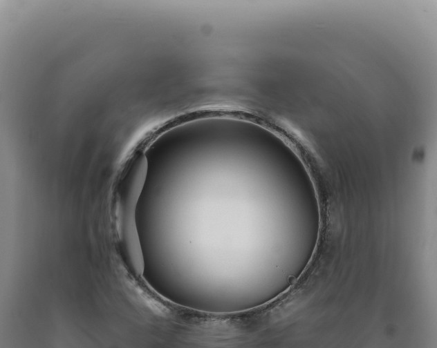 X0000090761408200707271456