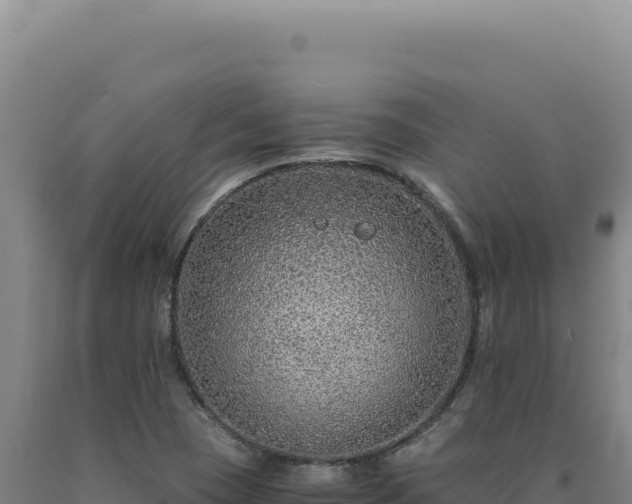 X0000090761409200707271456