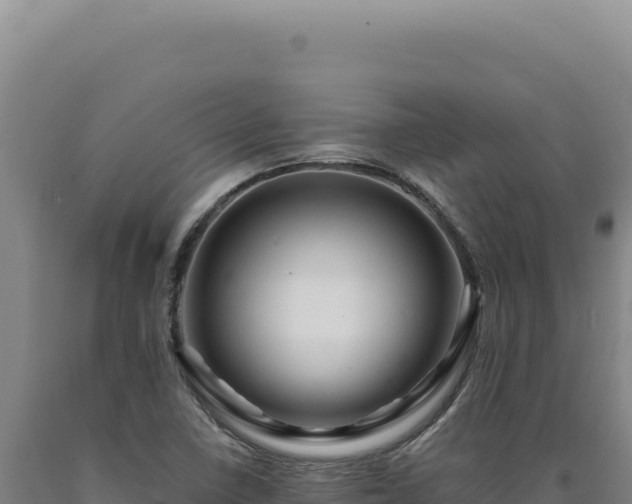 X0000090761410200707271456