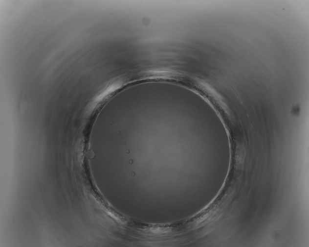 X0000090761411200707271456