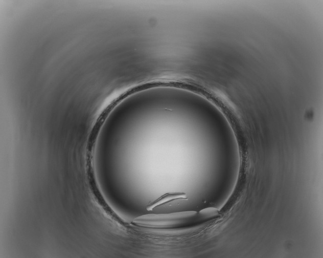 X0000090761412200707271456