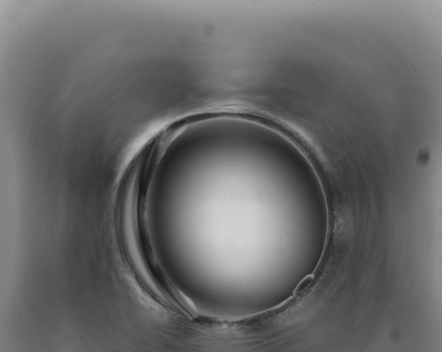 X0000090761414200707271456