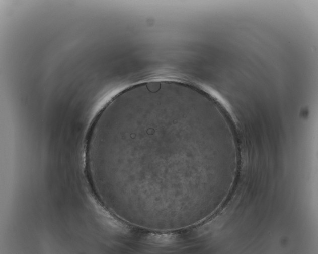 X0000090761415200707271456