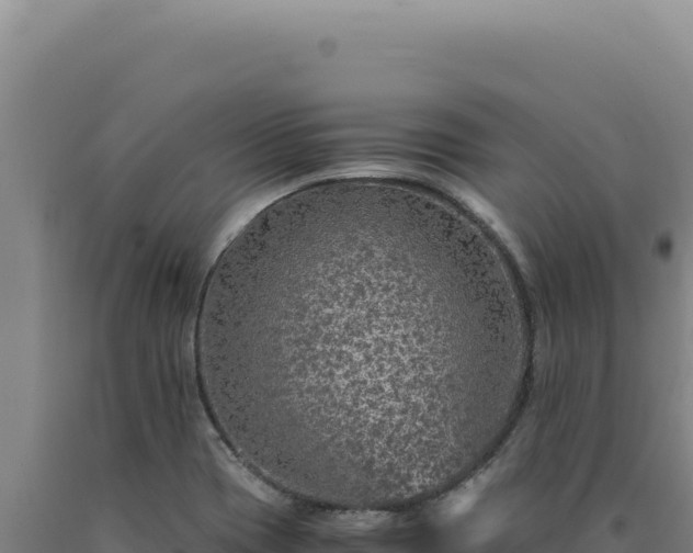 X0000090761417200707271456