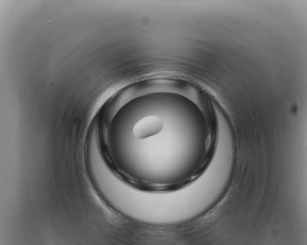 X0000090761418200707271456