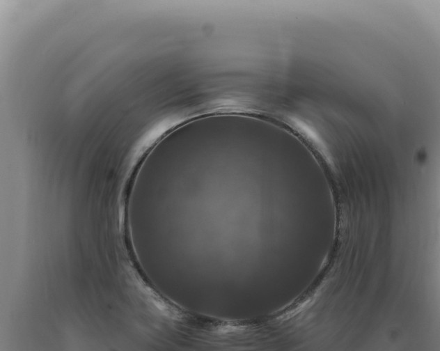 X0000090761419200707271456