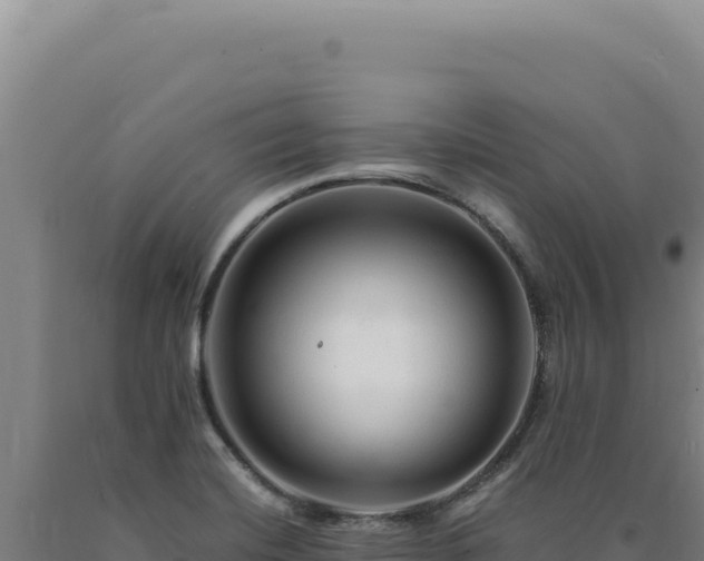 X0000090761420200707271457