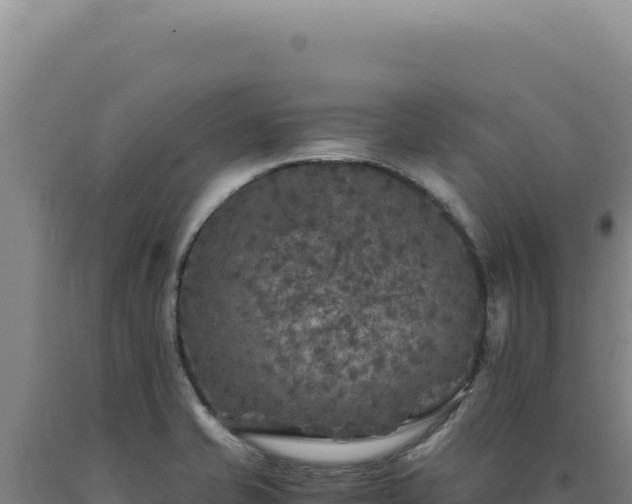 X0000090761421200707271457