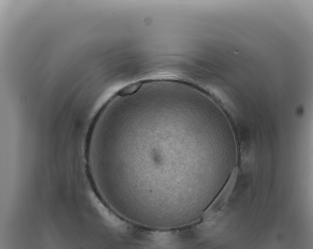 X0000090761422200707271457