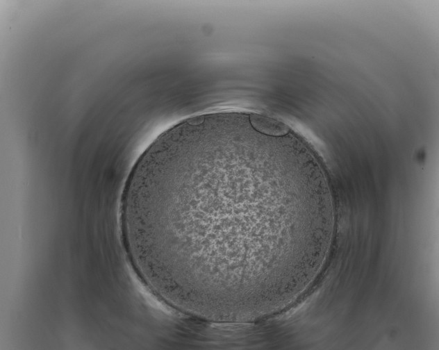 X0000090761423200707271457