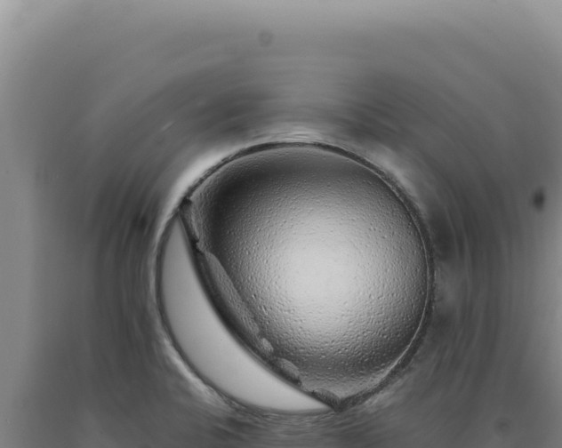 X0000090761424200707271457