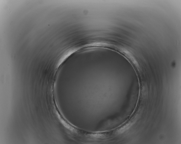 X0000090761425200707271457