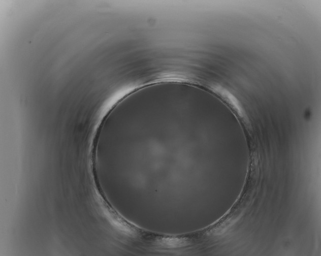 X0000090761427200707271457