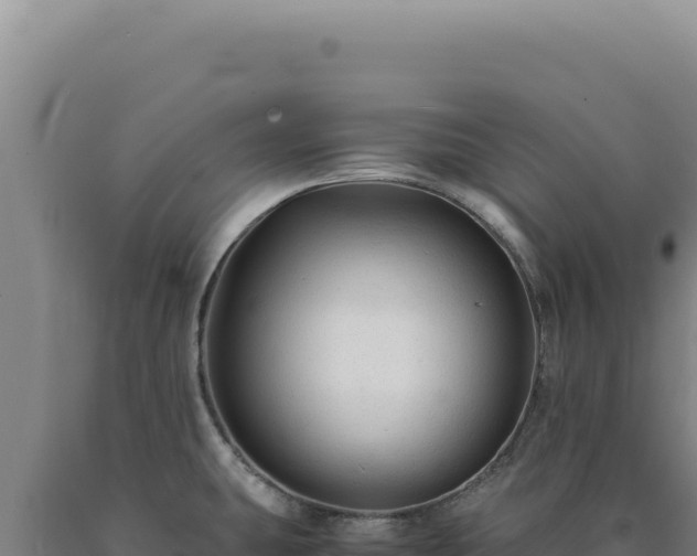 X0000090761431200707271457