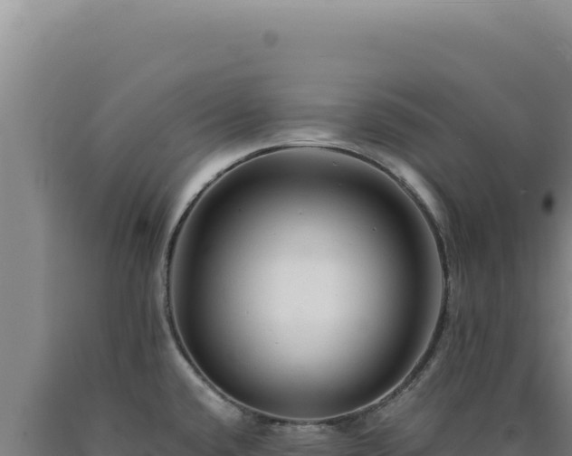 X0000090761432200707271457