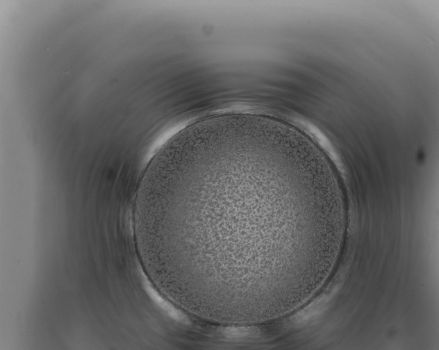 X0000090761433200707271457