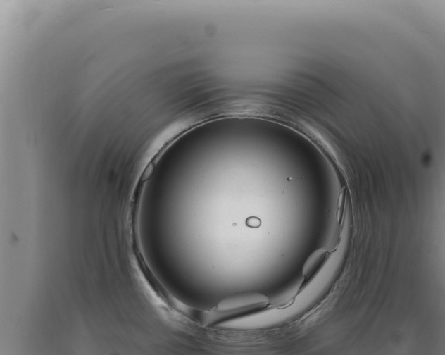 X0000090761434200707271457