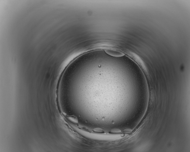 X0000090761435200707271457