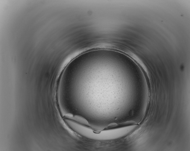 X0000090761437200707271457