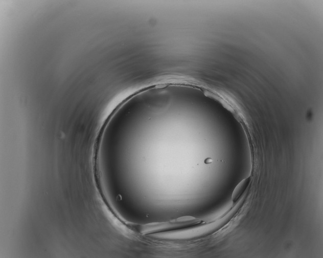 X0000090761438200707271457