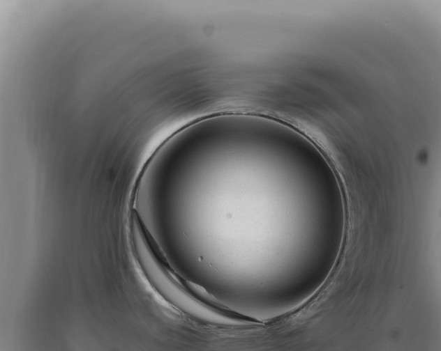 X0000090761440200707271457