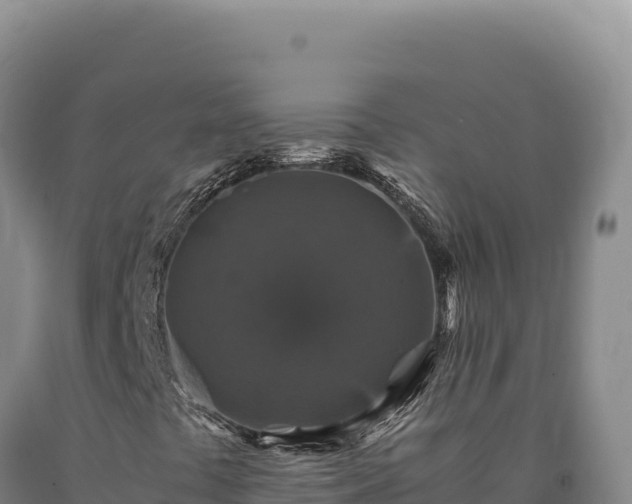 X0000090761441200707271456