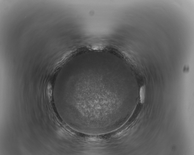 X0000090761443200707271456